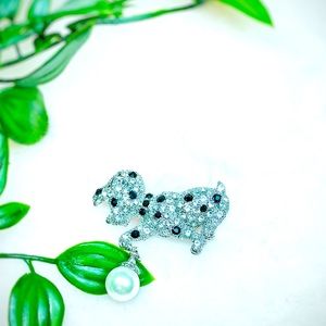 Brooch🐕